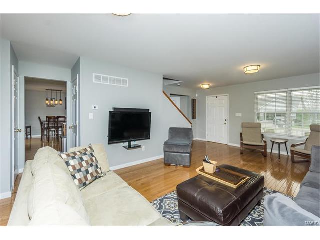 221 Spring Borough Dr, O'fallon, MO 63368 photo 10