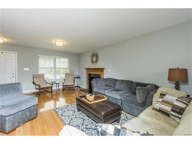 221 Spring Borough Dr, O'fallon, MO 63368 photo 11