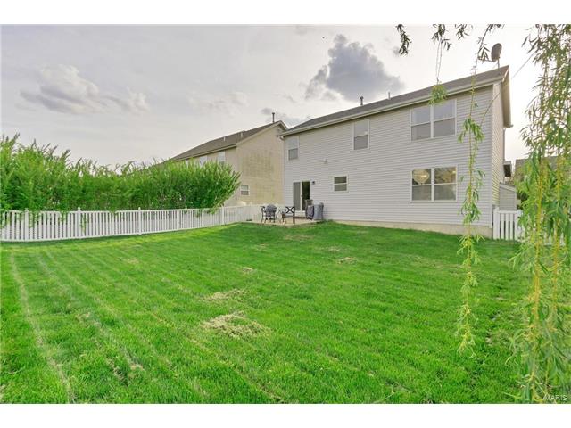 221 Spring Borough Dr, O'fallon, MO 63368 photo 37