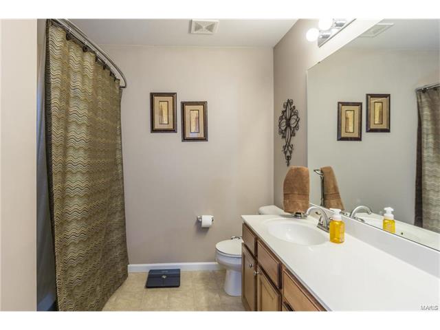 221 Spring Borough Dr, O'fallon, MO 63368 photo 30