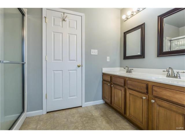 221 Spring Borough Dr, O'fallon, MO 63368 photo 24