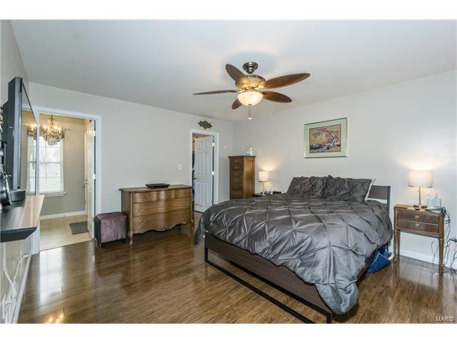 221 Spring Borough Dr, O'fallon, MO 63368 photo 20