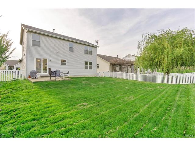 221 Spring Borough Dr, O'fallon, MO 63368 photo 35