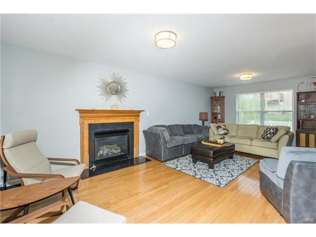221 Spring Borough Dr, O'fallon, MO 63368 photo 8