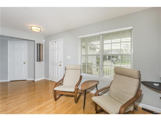 221 Spring Borough Dr, O'fallon, MO 63368 photo 9