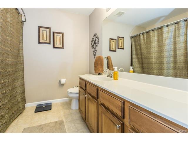 221 Spring Borough Dr, O'fallon, MO 63368 photo 29