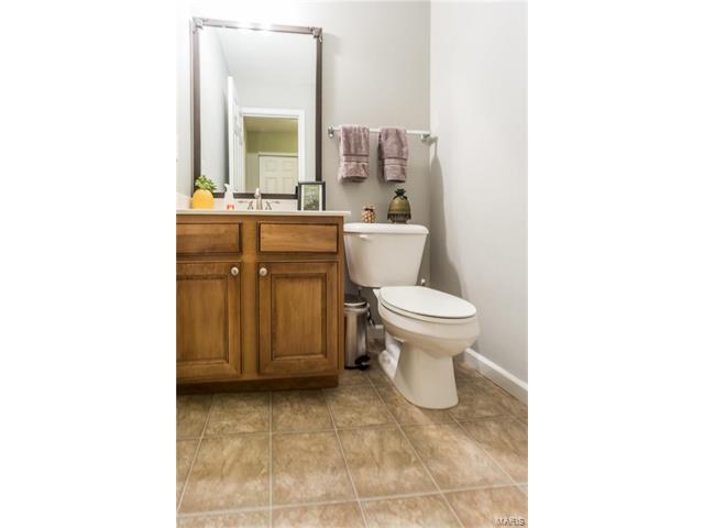 221 Spring Borough Dr, O'fallon, MO 63368 photo 19