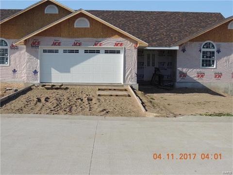 311 Howard, Palmyra, MO 63461 photo 1