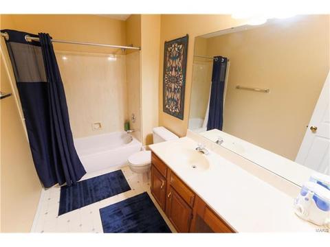 13047 Barrett Mdws, Ballwin, MO 63021 photo 16