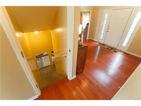 13047 Barrett Mdws, Ballwin, MO 63021 photo 22