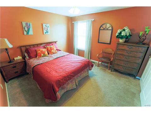 13047 Barrett Mdws, Ballwin, MO 63021 photo 18