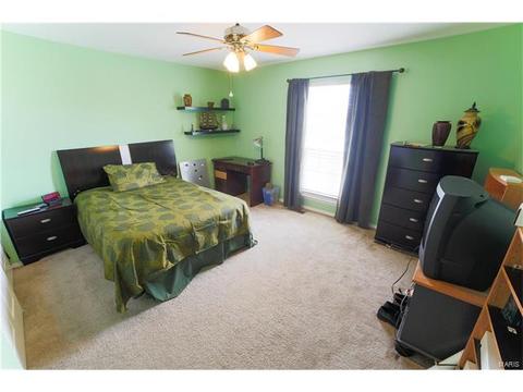 13047 Barrett Mdws, Ballwin, MO 63021 photo 15