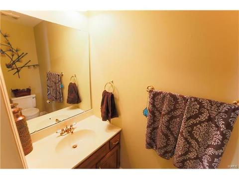 13047 Barrett Mdws, Ballwin, MO 63021 photo 12