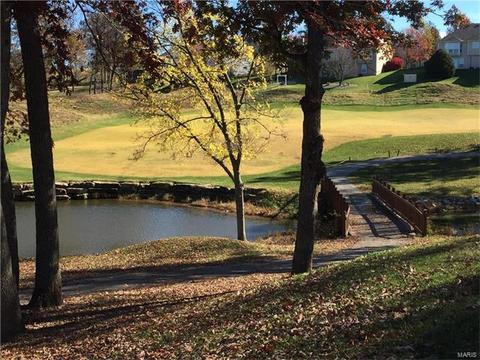 744 Hillenkamp Dr, Weldon Spring, MO 63304 photo 55