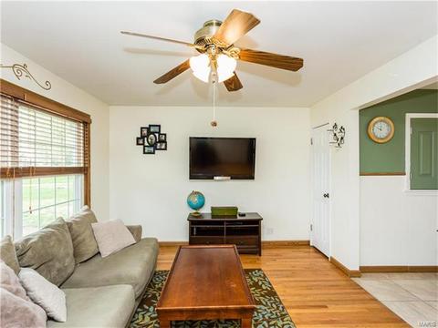11136 Patsy, Saint Louis, MO 63123 photo 4