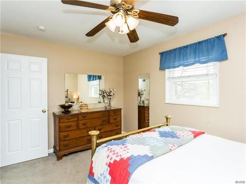11136 Patsy, Saint Louis, MO 63123 photo 18