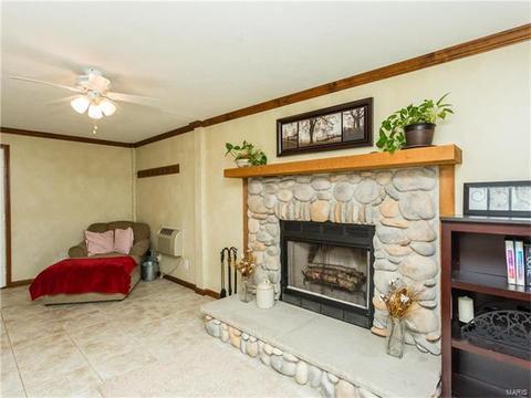 11136 Patsy, Saint Louis, MO 63123 photo 24