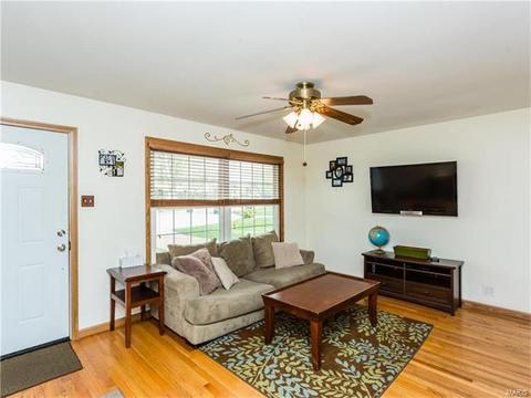 11136 Patsy, Saint Louis, MO 63123 photo 2