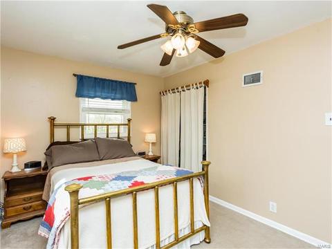 11136 Patsy, Saint Louis, MO 63123 photo 17