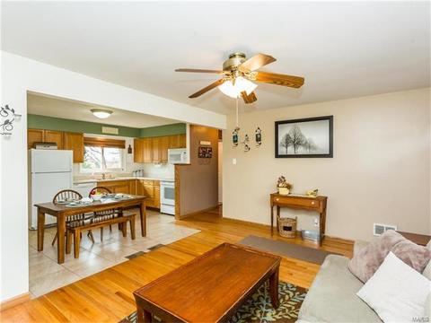 11136 Patsy, Saint Louis, MO 63123 photo 5