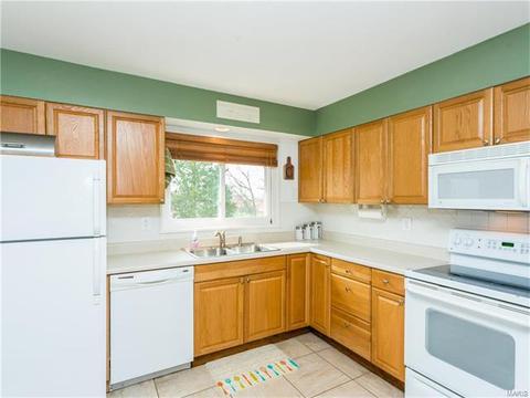 11136 Patsy, Saint Louis, MO 63123 photo 8