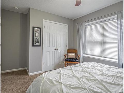 562 Spragues Mill Ct, Ballwin, MO 63011 photo 22