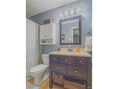 562 Spragues Mill Ct, Ballwin, MO 63011 photo 20