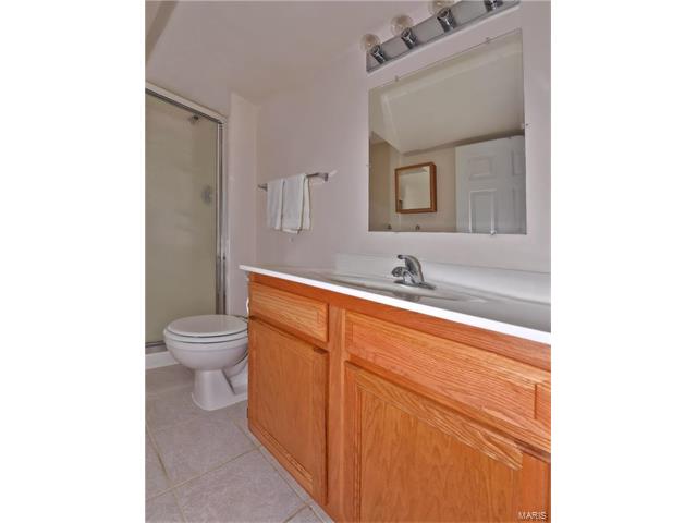 13046 Barrett Meadows Dr, Ballwin, MO 63021 photo 19