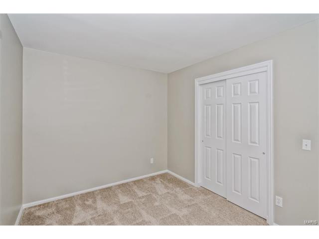 1325 Charing Cross Ln, Ballwin, MO 63021 photo 19
