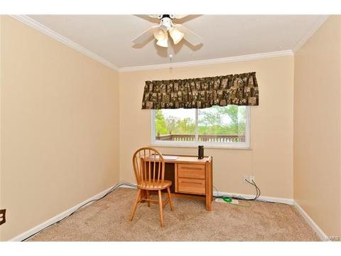 679 Henry Ave, Ballwin, MO 63011 photo 19