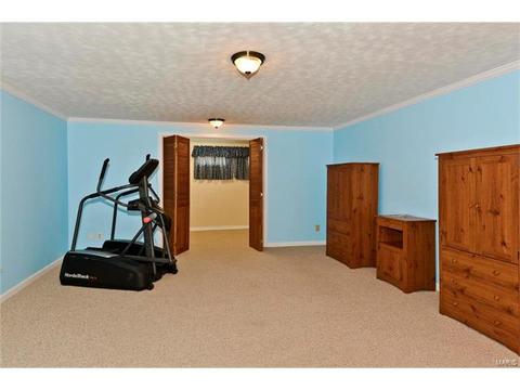 679 Henry Ave, Ballwin, MO 63011 photo 22