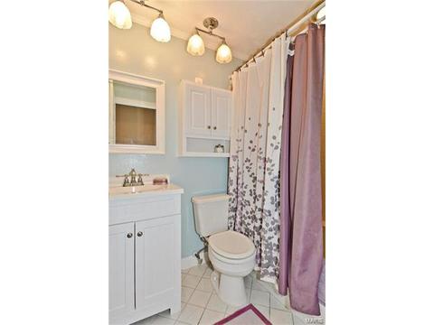679 Henry Ave, Ballwin, MO 63011 photo 20
