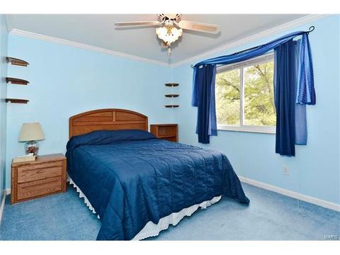 679 Henry Ave, Ballwin, MO 63011 photo 18