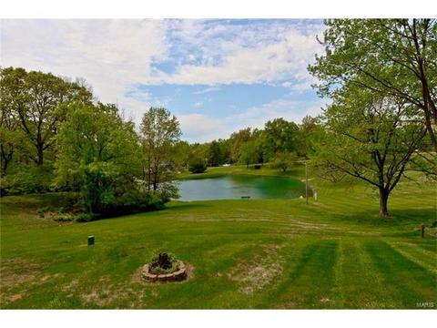 679 Henry Ave, Ballwin, MO 63011 photo 36