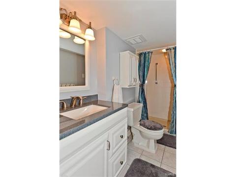 679 Henry Ave, Ballwin, MO 63011 photo 27