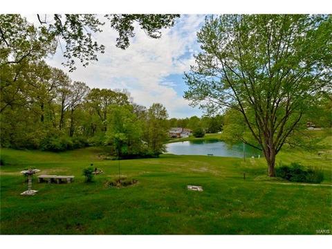 679 Henry Ave, Ballwin, MO 63011 photo 38