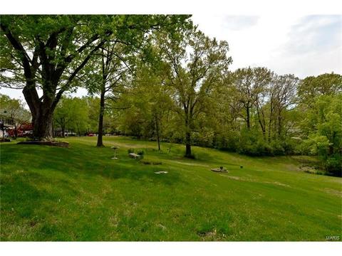 679 Henry Ave, Ballwin, MO 63011 photo 37
