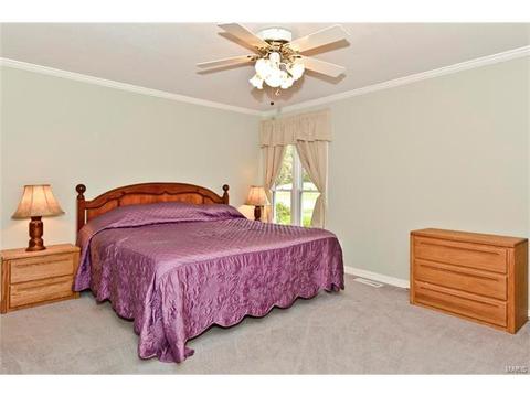 679 Henry Ave, Ballwin, MO 63011 photo 14