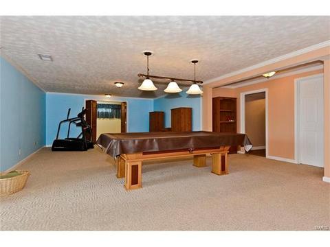 679 Henry Ave, Ballwin, MO 63011 photo 21