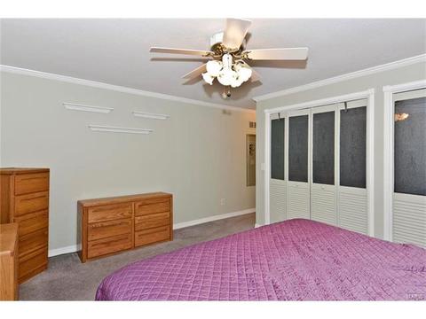 679 Henry Ave, Ballwin, MO 63011 photo 15