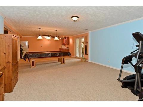 679 Henry Ave, Ballwin, MO 63011 photo 23