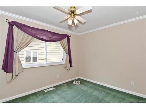 679 Henry Ave, Ballwin, MO 63011 photo 17