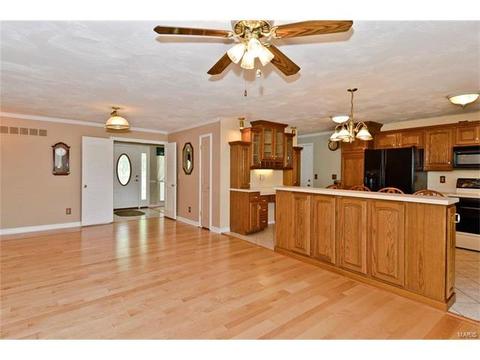 679 Henry Ave, Ballwin, MO 63011 photo 7