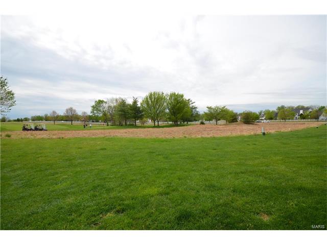 616 Hawk Run Dr, O'fallon, MO 63368 photo 22