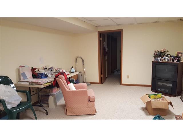 531 Audubon Pl, Ballwin, MO 63021 photo 29
