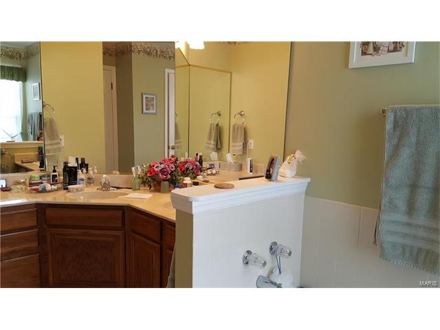 531 Audubon Pl, Ballwin, MO 63021 photo 17