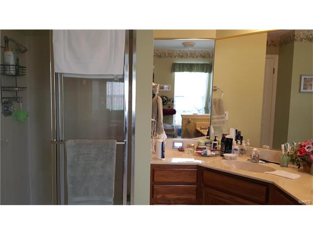 531 Audubon Pl, Ballwin, MO 63021 photo 20