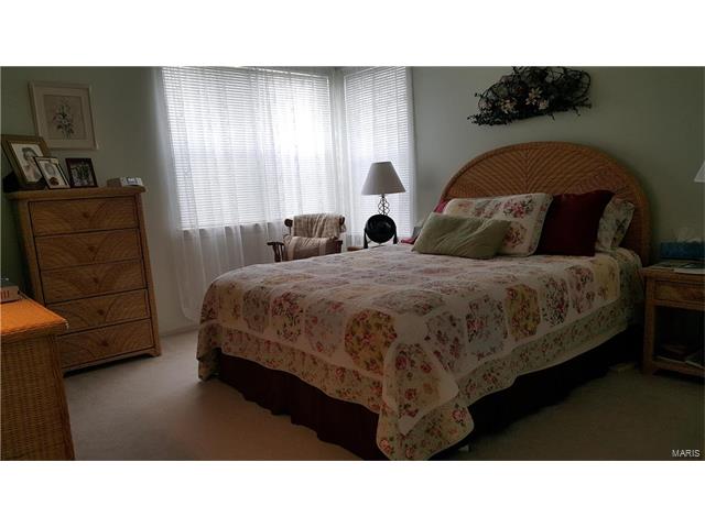 531 Audubon Pl, Ballwin, MO 63021 photo 22
