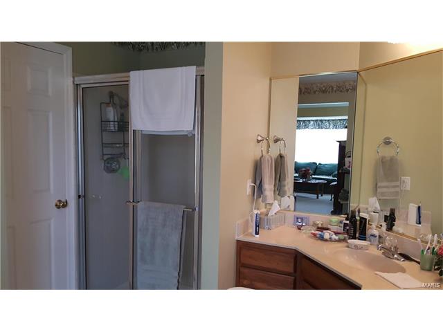 531 Audubon Pl, Ballwin, MO 63021 photo 19