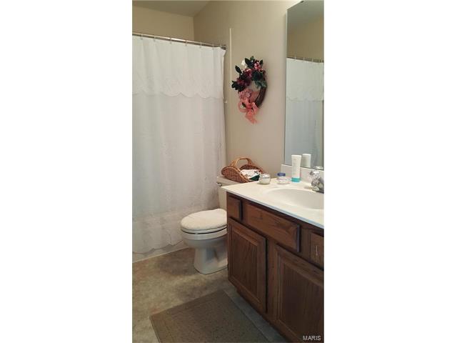 531 Audubon Pl, Ballwin, MO 63021 photo 24